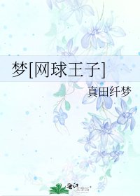 梦[网球王子]