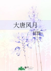 《大唐风月》