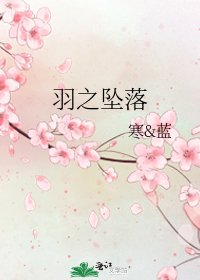 《羽之坠落》