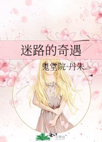 《迷路的奇遇》