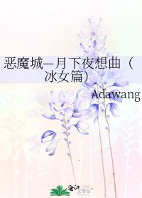 《恶魔城—月下夜想曲(冰女篇)》