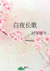 《白夜长歌》