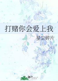 《打赌你会爱上我》