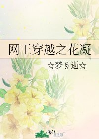 《网王穿越之花凝》