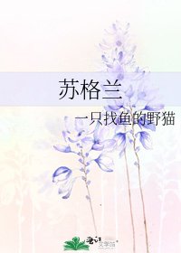 《苏格兰》