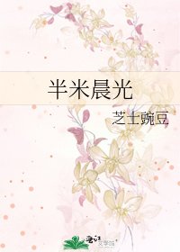 《半米晨光》