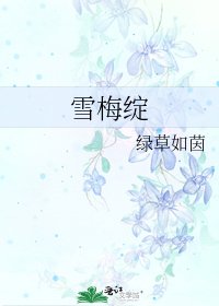 《雪梅绽》