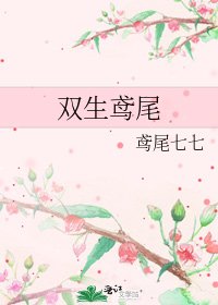 《双生鸢尾》