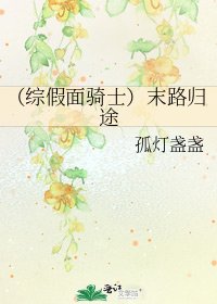 （综假面骑士）末路归途