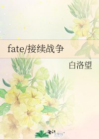 《fate/接续战争》