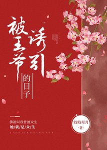 《被王爷诱引的日子(重生)》