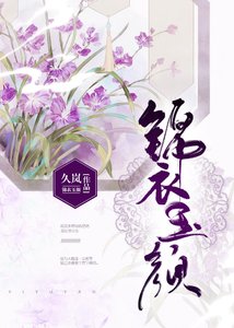 《锦衣玉颜》