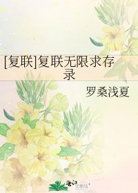 [复联]复联无限求存录