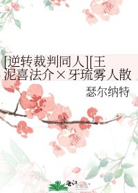 [逆转裁判同人][王泥喜法介×牙琉雾人散文]