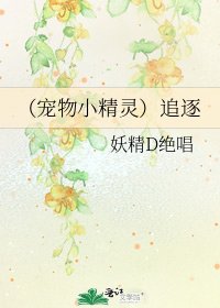 （宠物小精灵）追逐