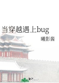 《当穿越遇上bug》