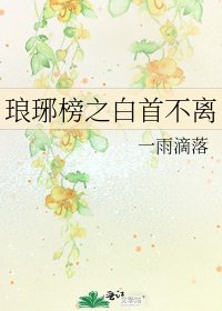 《琅琊榜之白首不离》