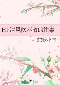 《HP清风吹不散的往事》