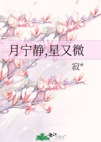 《月宁静,星又微》