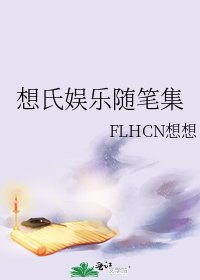 想氏娱乐随笔集