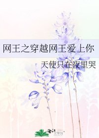 《网王之穿越网王爱上你》