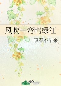 《风吹一弯鸭绿江》