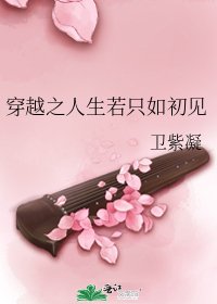 《穿越之人生若只如初见》