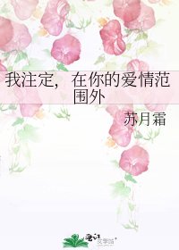 《我注定,在你的爱情范围外》