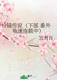 《怜镜传说(下部 番外龟速连载中)》
