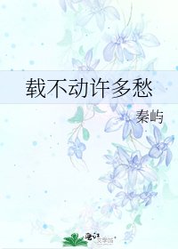 载不动许多愁