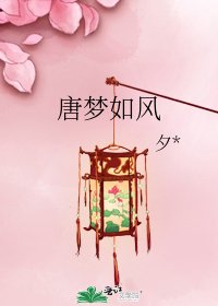 唐梦如风