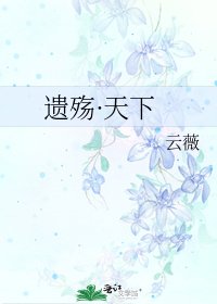 《遗殇·天下》