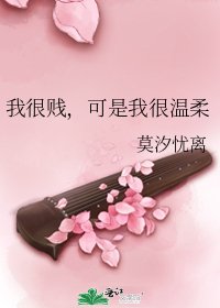 我很贱，可是我很温柔