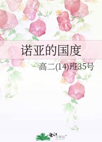 诺亚的国度
