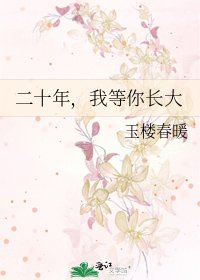 《二十年,我等你长大》