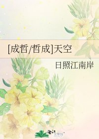 [成哲/哲成]天空