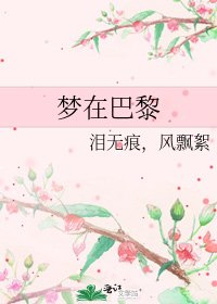 《梦在巴黎》