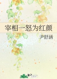 《宰相一怒为红颜》