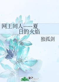 《网王同人-----夏日的火焰》
