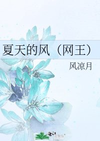 《夏天的风(网王)》