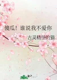 《傻瓜!谁说我不爱你》