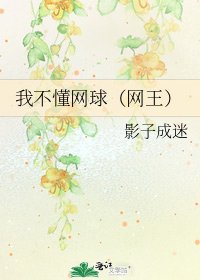 《我不懂网球(网王)》
