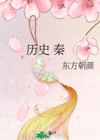 《历史 秦》