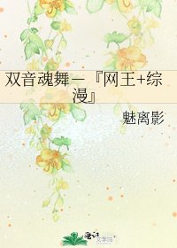 《双音魂舞-『网王+综漫』》