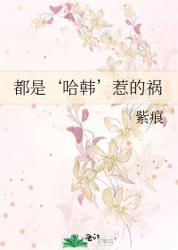 《都是‘哈韩’惹的祸》