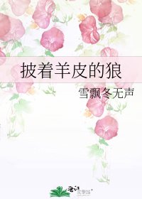 《披着羊皮的狼》