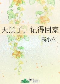 《天黑了,记得回家》