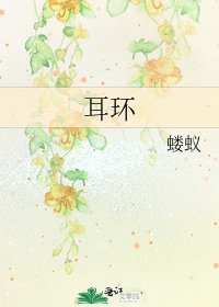 《耳环》