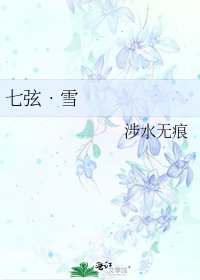 《七弦•雪》
