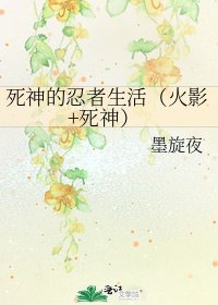 死神的忍者生活（火影+死神）